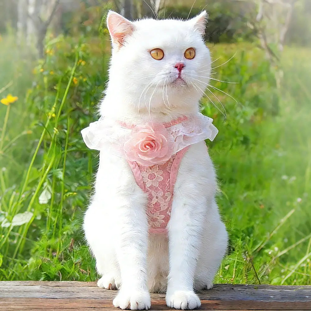 Pink Lace Pet Harness and Leash System with Floral Vest Vest-Style Harness & 47.24In Leash Suitable for Dogs and Cats, Kitten Harness, Lace Collar Harness for Walking, for Small to Breeds, Harness Leash Set, Harness Leash Combo