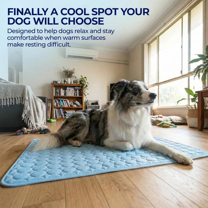 Dog Cooling Mat for Small to Medium Dogs, Long-Lasting Cool Pad for Outdoor & Indoor Use with Ice Silk Fabric & Waterproof Cover, Summer Cooling Pet Bed, Non-Slip Washable Pet Blanket