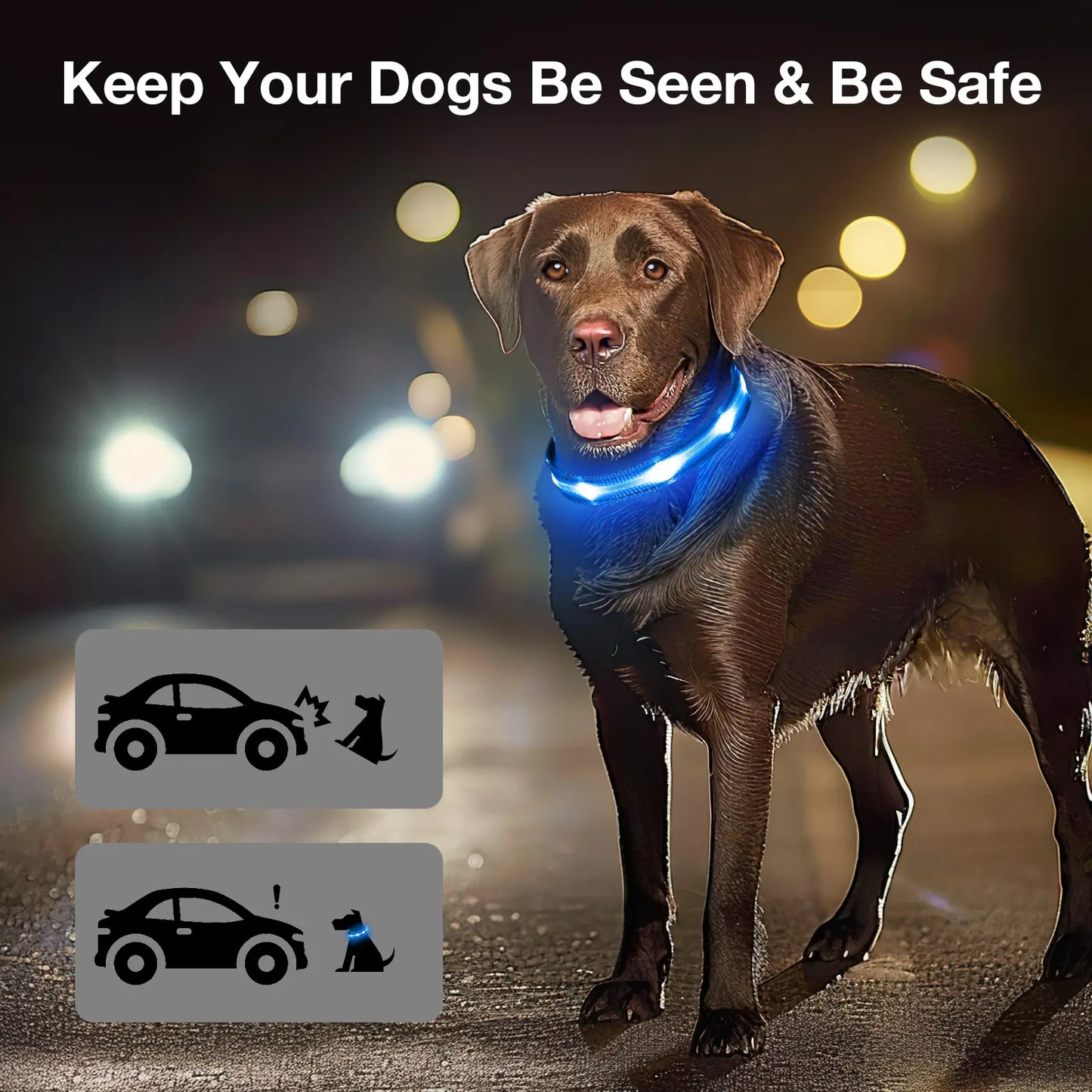 Ultra-Bright LED Dog Collar, Rechargeable & Waterproof, High Visibility Glow for Night Walks, Adjustable Safety Collar for All Dogs