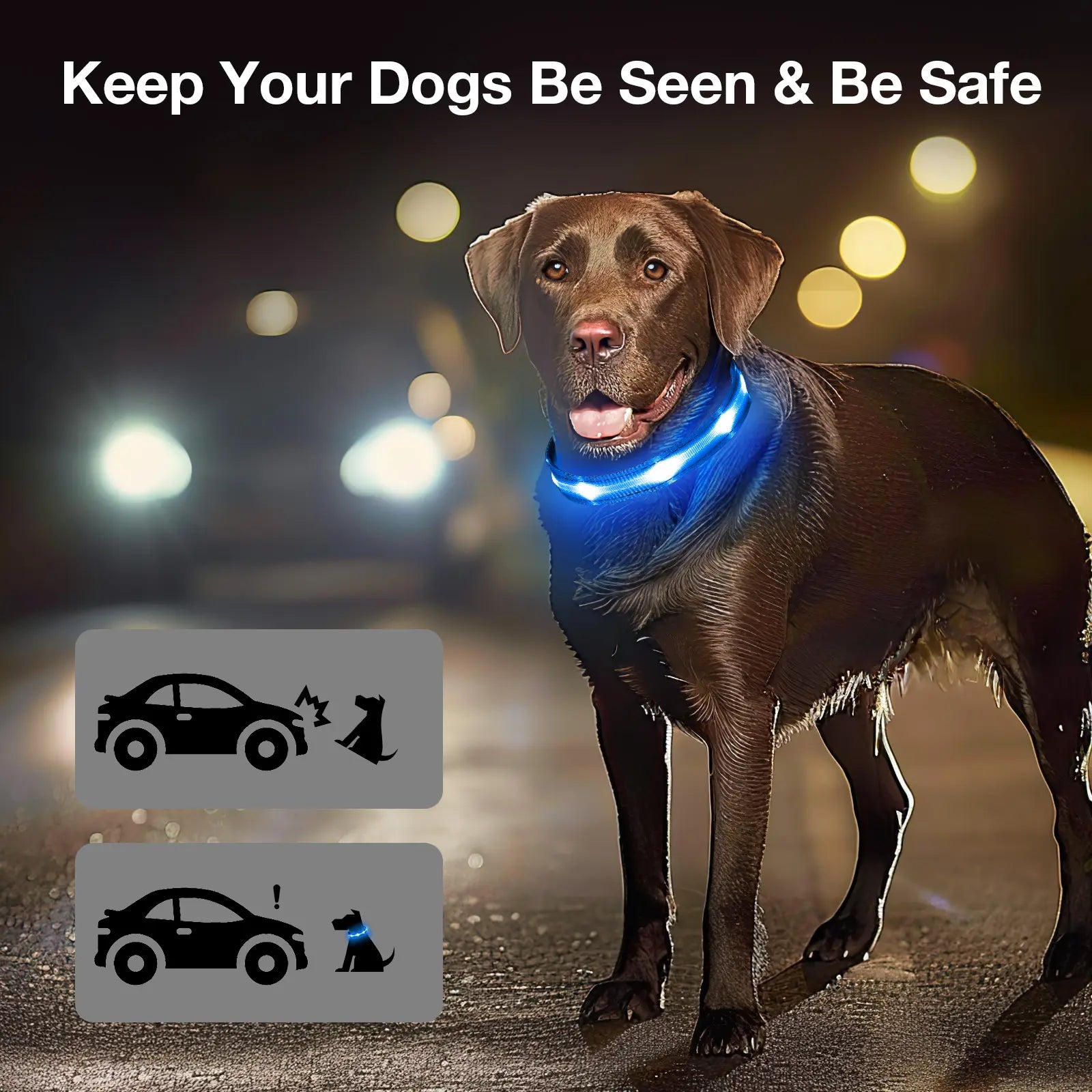 Ultra-Bright LED Dog Collar, Rechargeable & Waterproof, High Visibility Glow for Night Walks, Adjustable Safety Collar for All Dogs