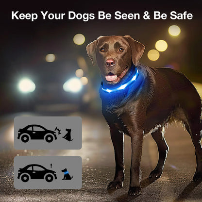 Ultra-Bright LED Dog Collar, Rechargeable & Waterproof, High Visibility Glow for Night Walks, Adjustable Safety Collar for All Dogs