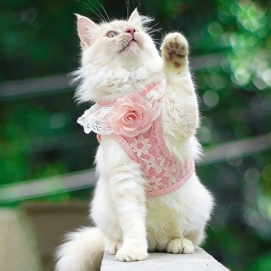 Pink Lace Pet Harness and Leash System with Floral Vest Vest-Style Harness & 47.24In Leash Suitable for Dogs and Cats, Kitten Harness, Lace Collar Harness for Walking, for Small to Breeds, Harness Leash Set, Harness Leash Combo