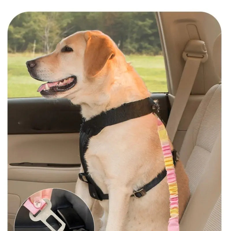 Pet Car Safety Harness, Stretchable Dog Leash, Bite-Resistant Vehicle Strap, Secure Outdoor Tether, Pet Travel Gear