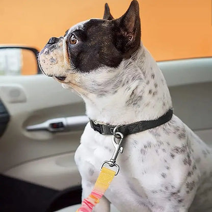 Pet Car Safety Harness, Stretchable Dog Leash, Bite-Resistant Vehicle Strap, Secure Outdoor Tether, Pet Travel Gear